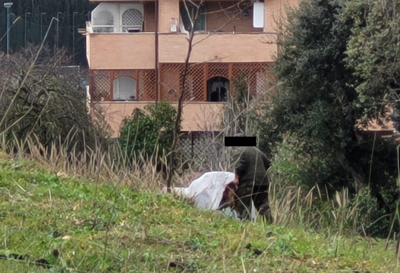 pecora uccisa a colpi di bastone a Monte Mario