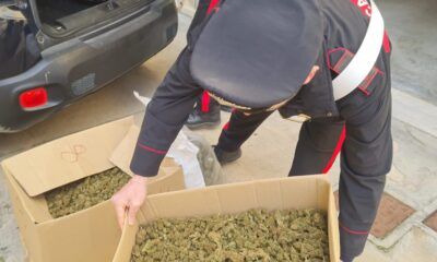 azienda agricola coltivava marijuana sacrofano