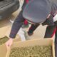 azienda agricola coltivava marijuana sacrofano