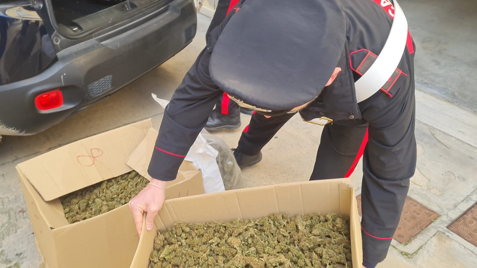 azienda agricola coltivava marijuana sacrofano