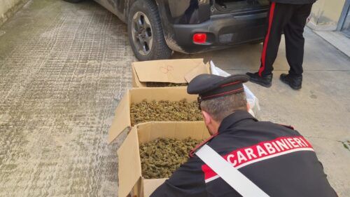 azienda agricola di marijuana sacrofano