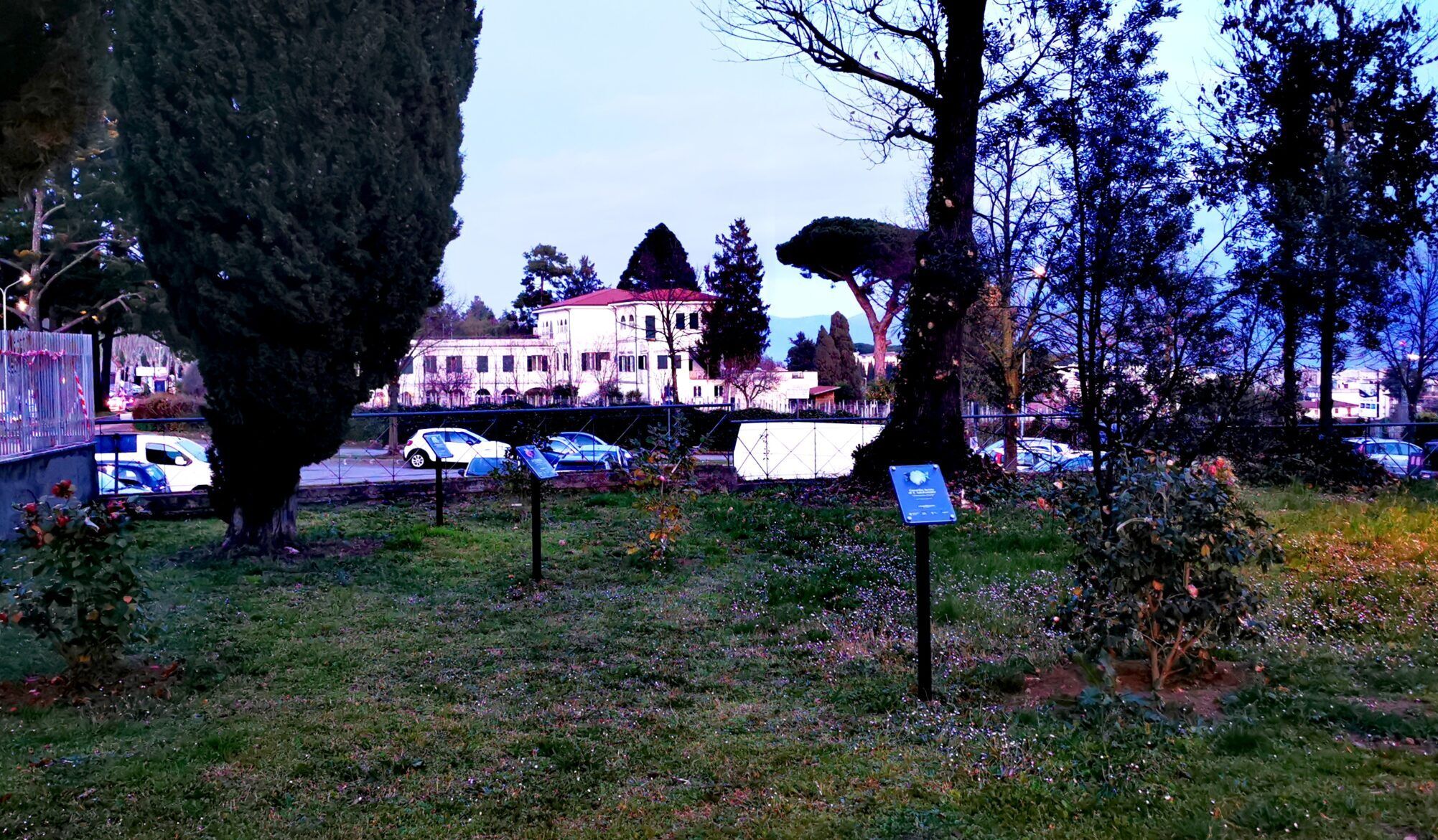Camelieto a Parco Muratori