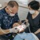 Dentista