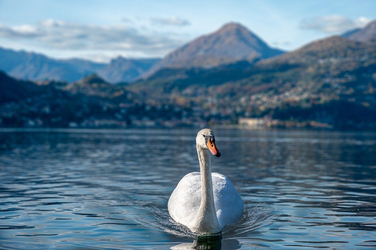 Lago di Como