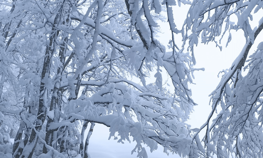 La neve sul Monte Livata