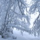 La neve sul Monte Livata