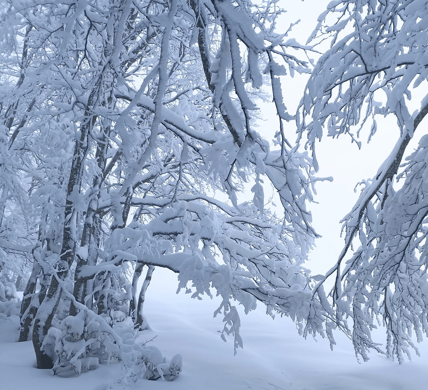 La neve sul Monte Livata