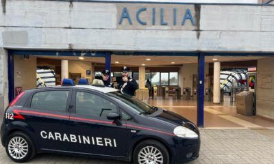 Acilia, appiccano un incendio nel centro cinofilo