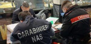 Senza sosta i controlli dei carabinieri volti alla prevenzione dei reati in genere. "Osservata speciale" Ostia. Ecco le operazioni.