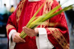 auguri domenica delle palme