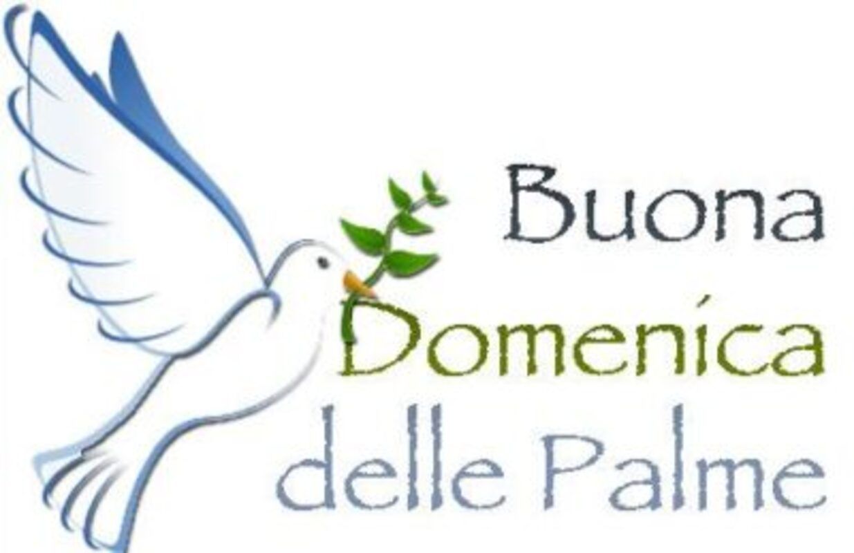 Buona domenica delle palme