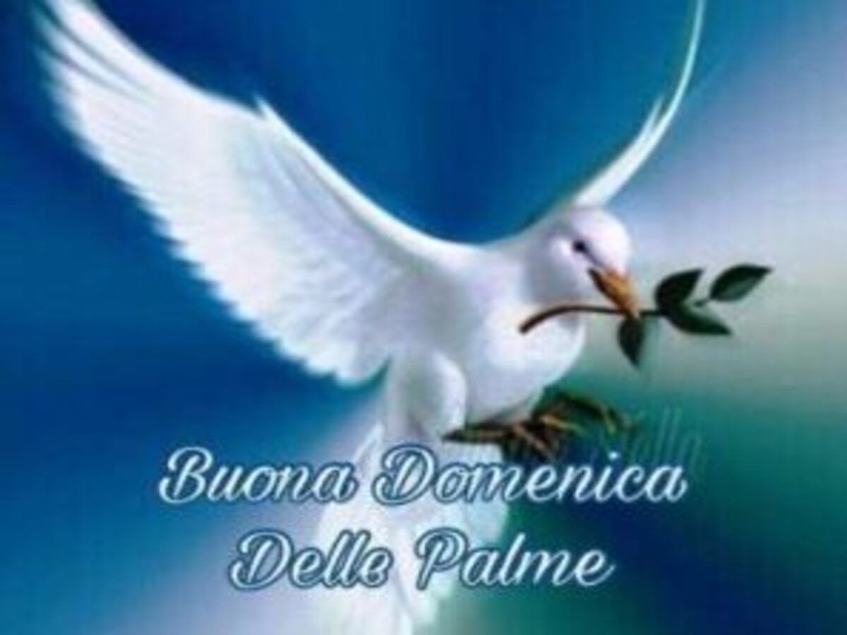 auguri domenica delle palme