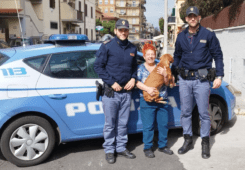 cagnolino smarrito a Ladispoli