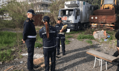 carcasse auto via placidia
