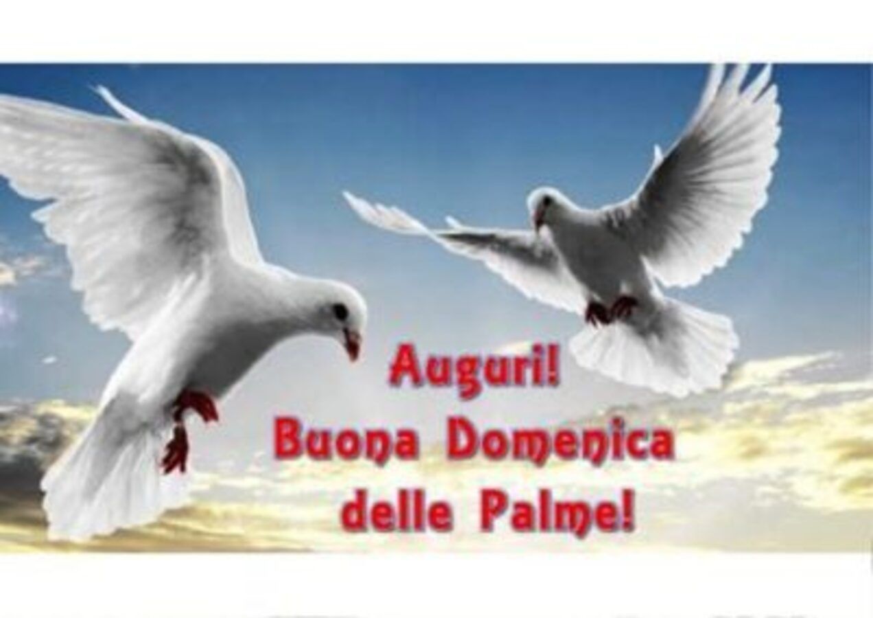 auguri domenica delle palme