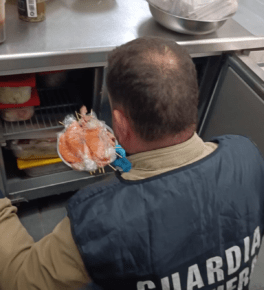 guardia costiera civitavecchia controllo ristoranti etnici