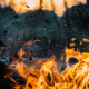incendio