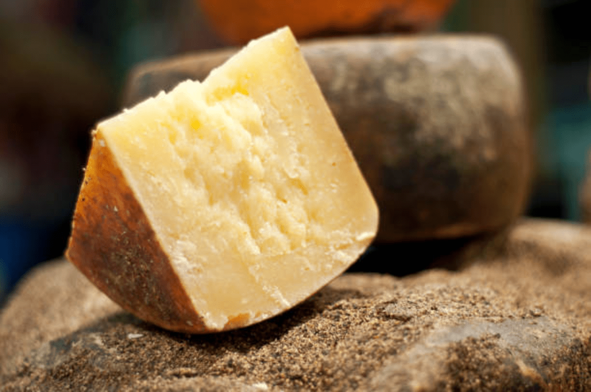 pecorino, formaggio