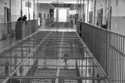 Un detenuto presso il carcere di Rebibbia sale su una gru per protesta. Le trattative sono in corso per farlo desistere.