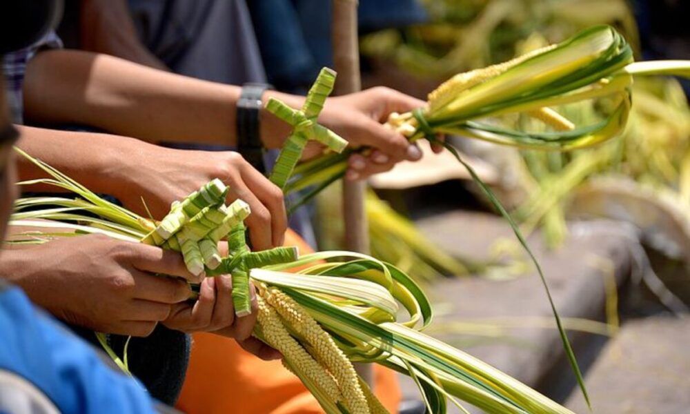 qual è il significato della Domenica delle Palme?