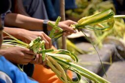 qual è il significato della Domenica delle Palme?