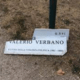 targa valerio verbano