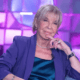 wilma goich
