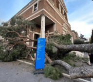 Enorme Pino caduto su un edificio della Luiss