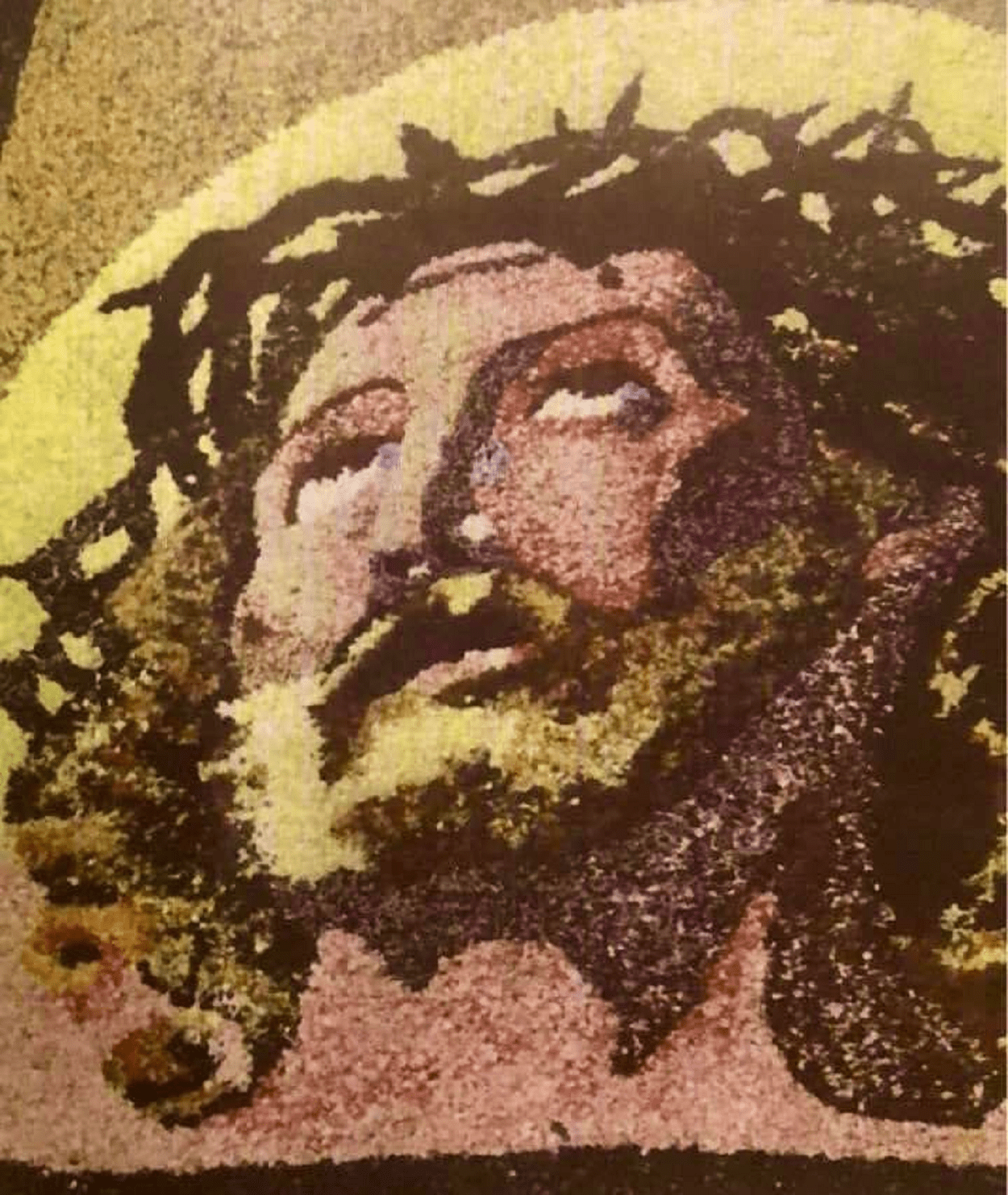 Ritratto di Gesù realizzato con i fiori