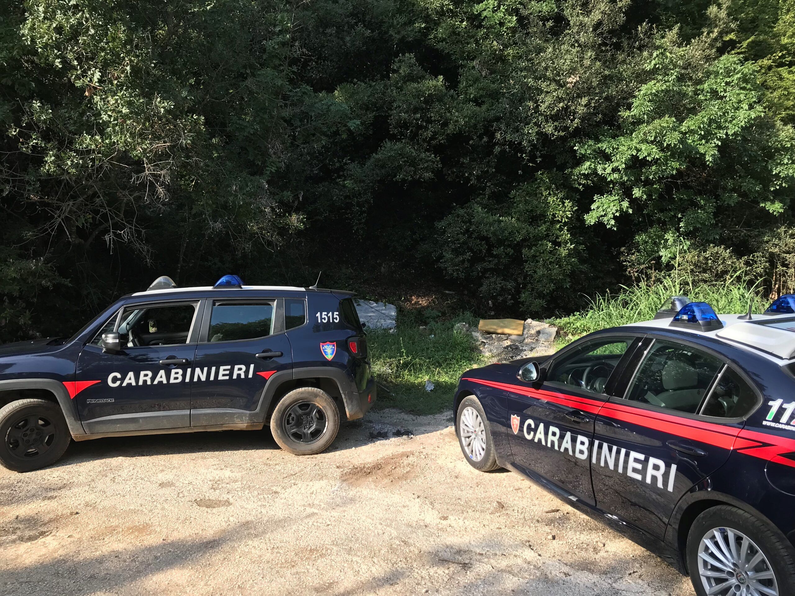 controlli carabinieri e Forestali