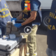 Sequestro droga a Civitavecchia
