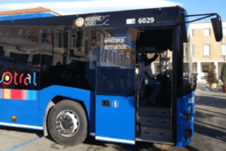 autobus del cotral