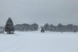 neve ai castelli romani