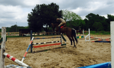 Asd Horse Club Jump