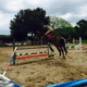 Asd Horse Club Jump