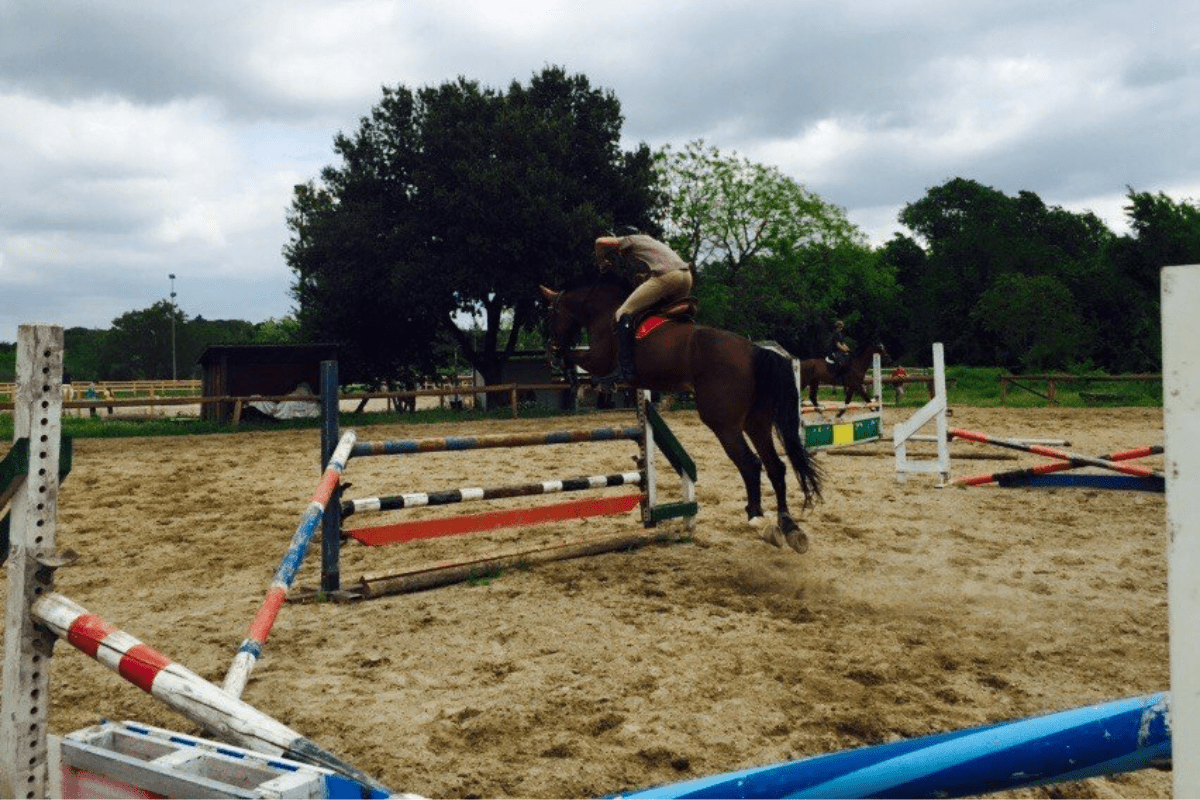 Asd Horse Club Jump
