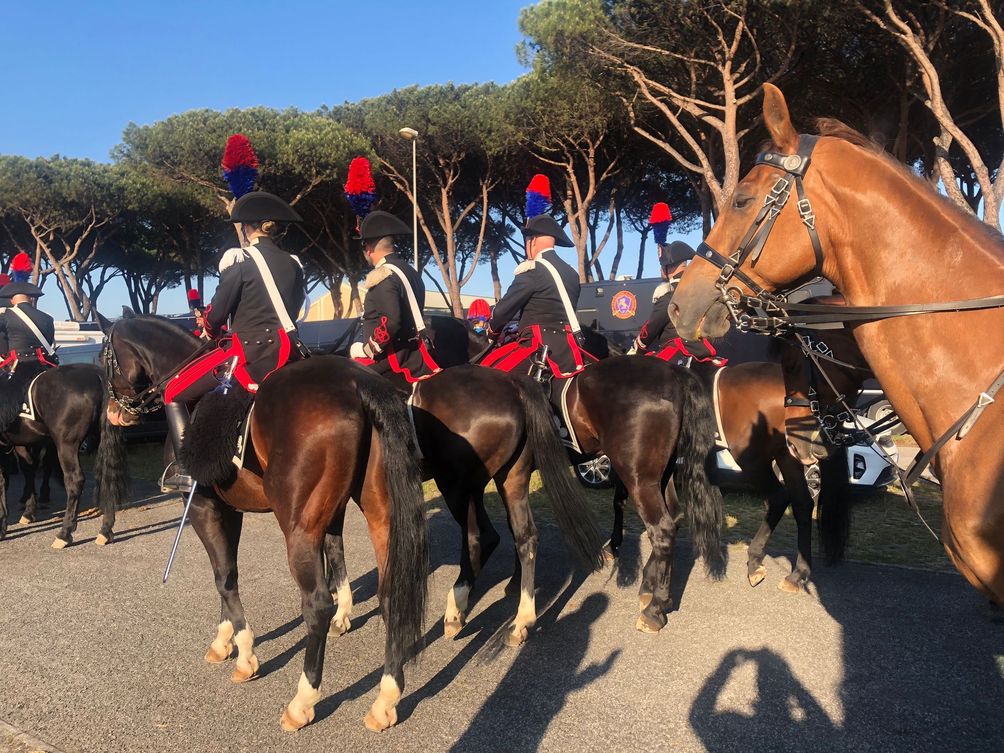 Carabinieri a cavallo a Castel Fusano