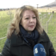 Si apre un altro capitolo per la veggente Gisella Cardia: il Tar non ha accolto il ricorso dell'Associazione Madonna di Trevignano