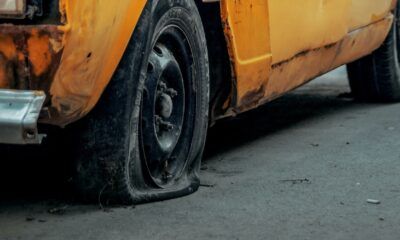 Gomme tagliate a Ostia
