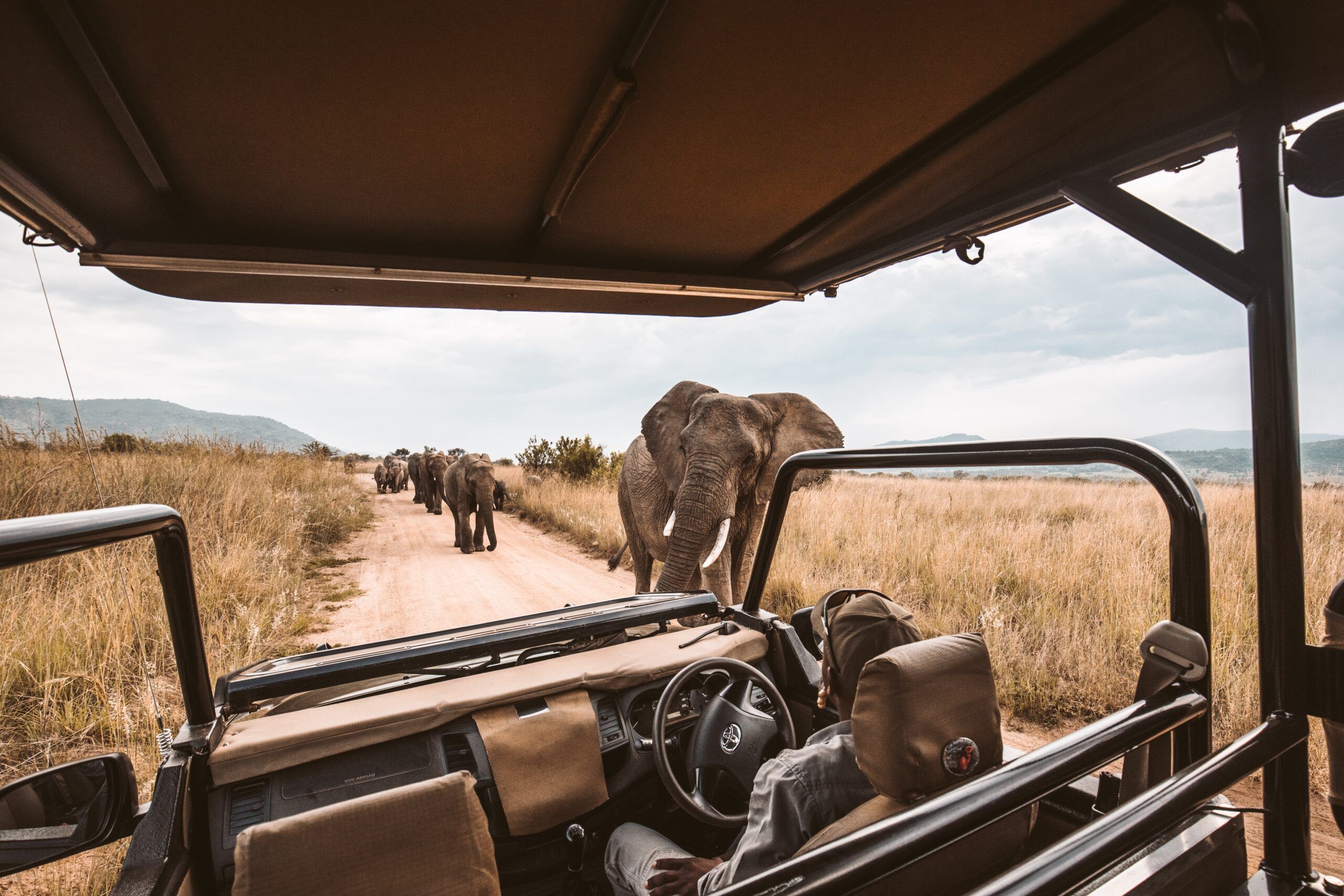 Safari in Africa