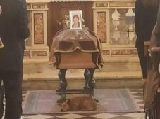 il cagnolino vicino alla bara della padrona