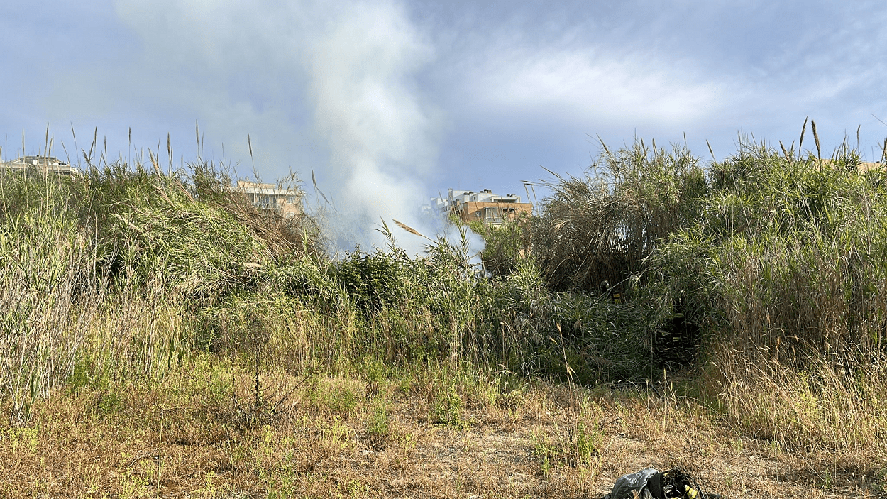 incendio Ostia Pineta Acque Rosse