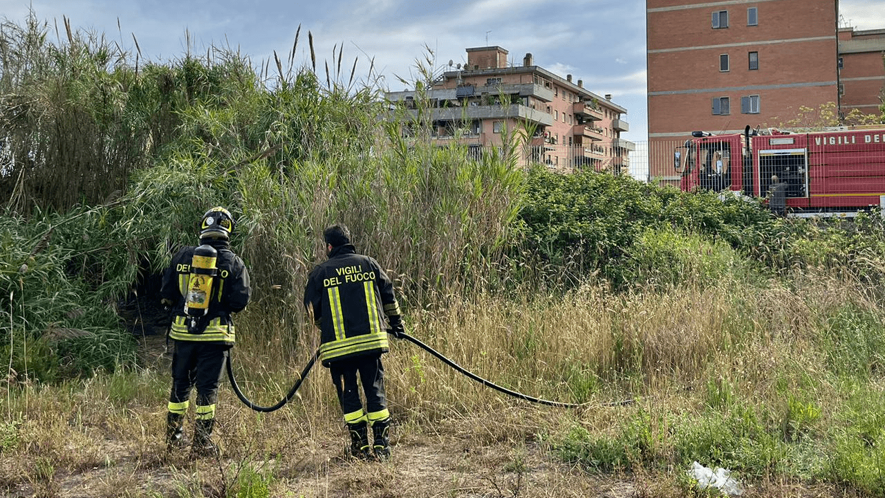 Incendio Pineto