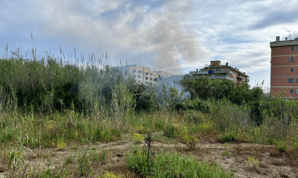 l'incendio nella baraccopoli della Pineta delle Acque Rosse a Ostia