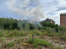 l'incendio nella baraccopoli della Pineta delle Acque Rosse a Ostia