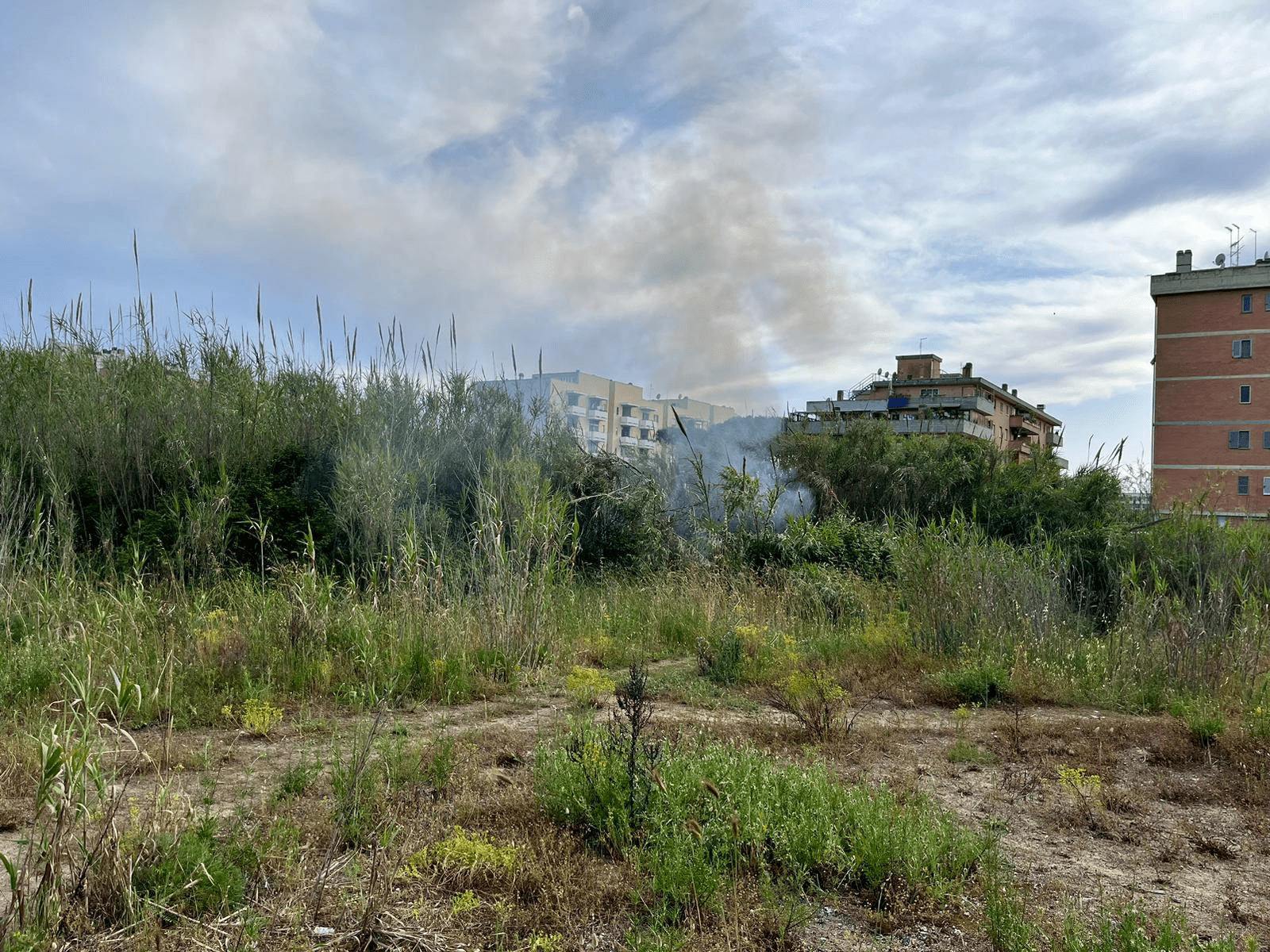 l'incendio nella baraccopoli della Pineta delle Acque Rosse a Ostia