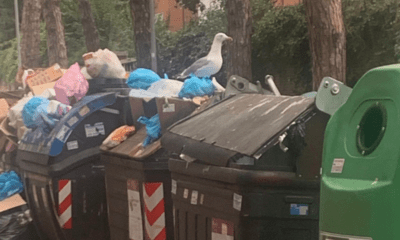 spazzatura a Roma