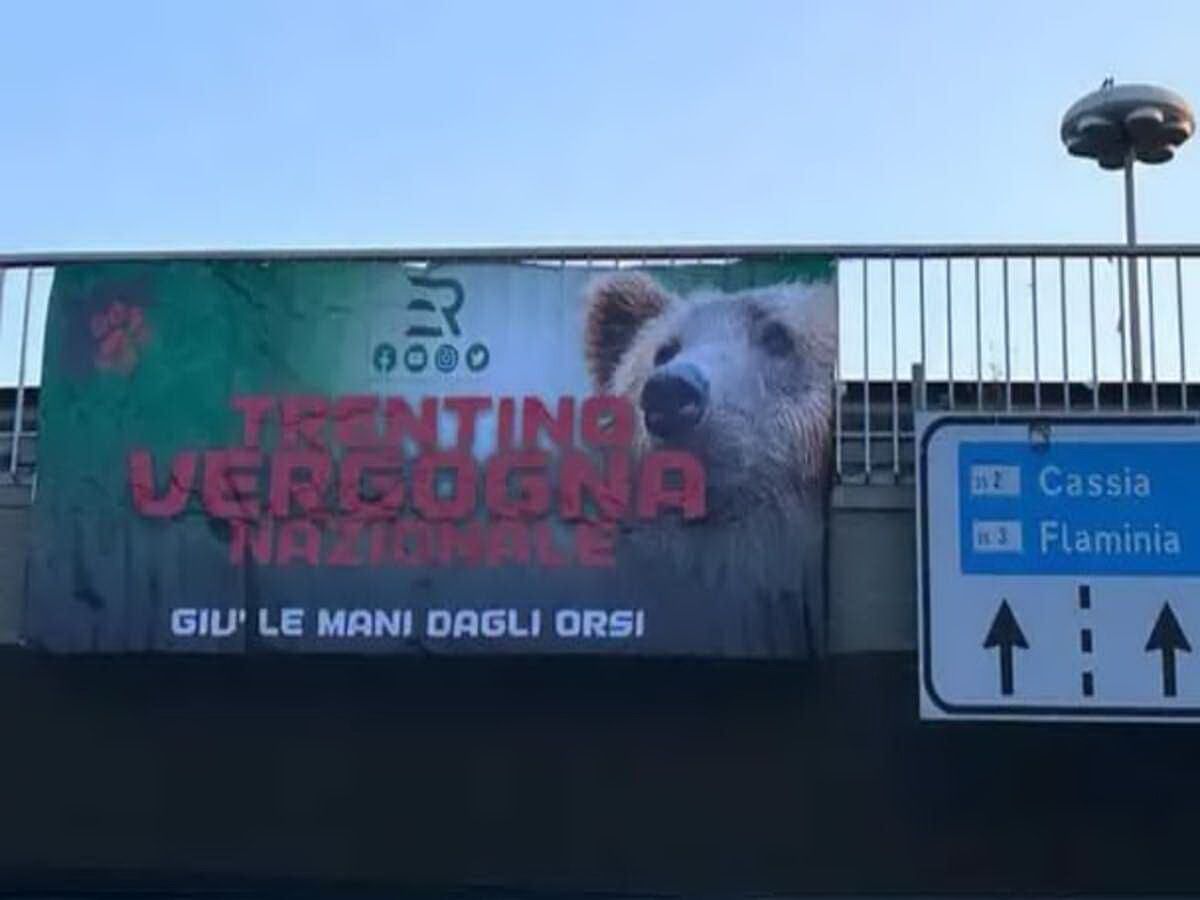 striscione sulla flaminia contro l'uccisione degli orsi