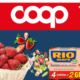volantino coop