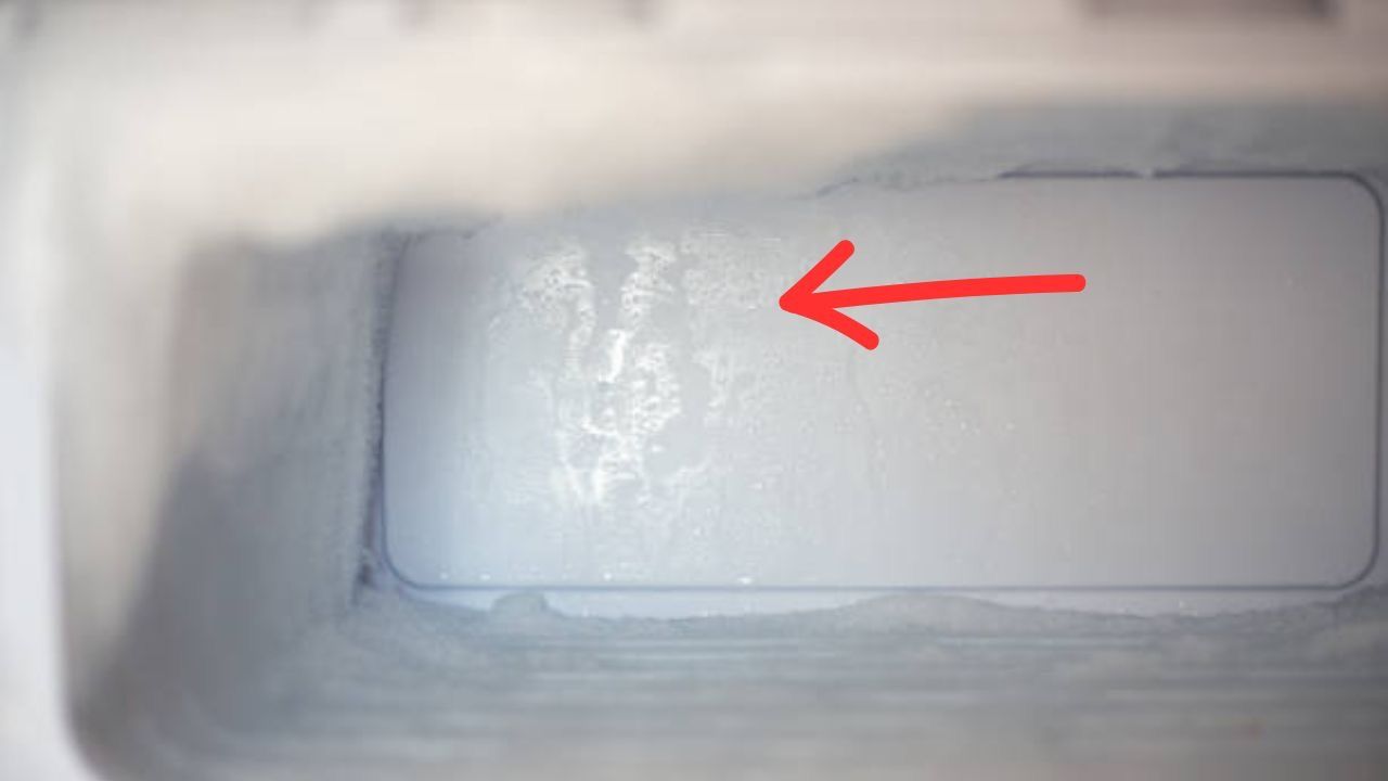 Condensa in frigo